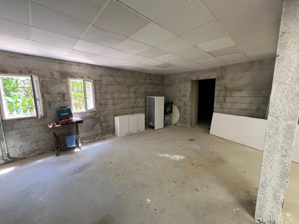 Rarissime ! Limoux maison 4 chambres sur parcelle d'environ 4000 m² avec piscine et pol hosse