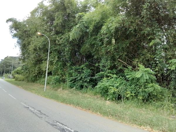 Terrain à vendre de 4 262,00 m² MACOURIA (973)