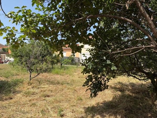 Vente                                                      Terrain
                        
                                         600 m2                     à Perpignan