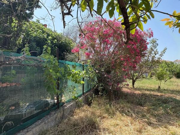 Vente                                                      Terrain
                        
                                         600 m2                     à Perpignan
