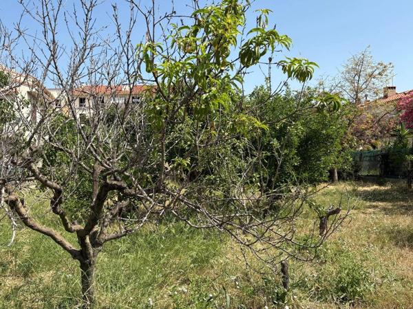 Vente                                                      Terrain
                        
                                         600 m2                     à Perpignan