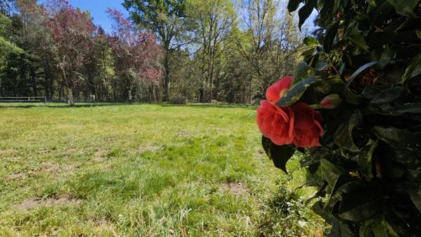 PROPRIÉTÉ DE CHARME EN PLEINE NATURE Proche ECOMMOY (72)