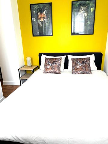 A LOUER TRES BEL APPARTEMENT  MEUBLE EN PLEIN CENTRE VILLE DE ST QUENTIN  02100