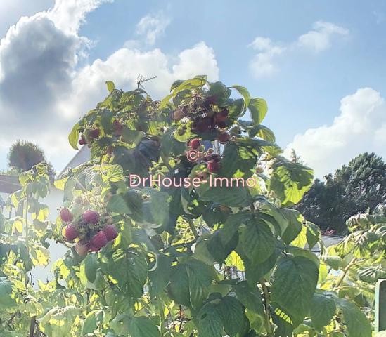 Maison à vendre 6 pièces de 243 m²