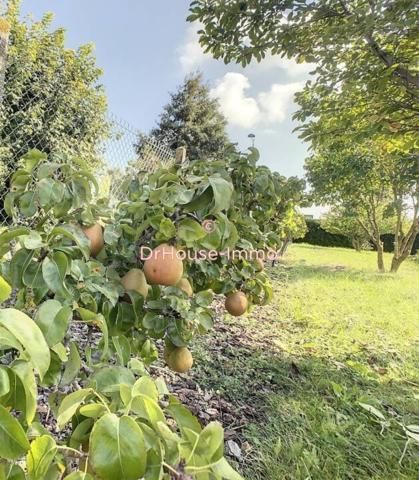 Maison à vendre 6 pièces de 243 m²