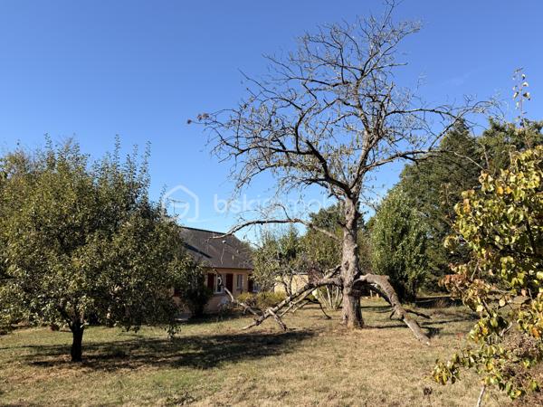 Vous recherchez une maison de plain-pied en campagne avec une parcelle de plus de 3500m2 sans aucun vis à vis ? J'ai peut-être votre future maison. 
Située sur la commune de LAUNAY-VILLIERS à 3 kms de ST PIERRE LA COUR, cette maison de 1973 à rafraichir, offre un beau potentiel à ses futurs propriétaires.
Nous commencerons la visite par une entrée de 4m2 qui dessert à droite le salon-séjour traversant de 27m2 et à gauche, la cuisine fermée de 11m2. Vous auriez préféré une grande pièce de vie ? Pas de soucis, vous pourrez aisément abattre les cloisons (murs non porteurs) et en faire une belle pièce de vie lumineuse. 
Nous poursuivrons la visite avec le coin nuit composé d'un wc séparé, d'une salle de bain de 5m2 environ et de deux chambres de 9m2 et d'une chambre de 10m2.
Toutes les menuiseries sont en pvc double vitrage et ont été changées en 2023. La toiture est en ardoises d'Espagne et a été refaite en 2008. Le tableau a été refait également ainsi que l'isolation des combles. 
Le mode de chauffage est au gaz avec en complément un insert bois avec répartiteur de chaleur dans toutes les pièces.  La fosse septique est conforme, elle a été changée en 2011. 
Coté stockage, un garage attenant pouvant également être transformé en extension de la maison si vous le souhaitez et une dépendance en pierre de 40m2 environ complète l'équipement de cette maison. 
Coté jardin, vous pourrez profitez en toute tranquillité d'une parcelle de plus de 3500m2 arborée, agrémentée d'un verger et d'un potager. 
Alors ce descriptif semble correspondre à votre recherche ? Appelez moi pour plus de renseignements et peut-être fixer une visite !
Et n'oubliez pas, la maison est située à moins de 4 minutes de Saint-Pierre-La-Cour, de Port-Brillet ou encore du Bourgneuf-La-Forêt, communes sur lesquelles vous aurez à disposition :  école privée ou publique, collège privé ou public, pôle enfance jeunesse, mais aussi, médecins, dentiste, kinés, centre de soins infirmiers, ostéopathes, orthophoniste, psychologue, sage-femme,  pharmacie, infirmières libérales ainsi que de nombreuses infrastructures sportives, des commerces (supérette, boulangerie, boucherie, coiffeurs, bar, etc), sans oublier des gares ferroviaires avec des arrêts quotidiens.