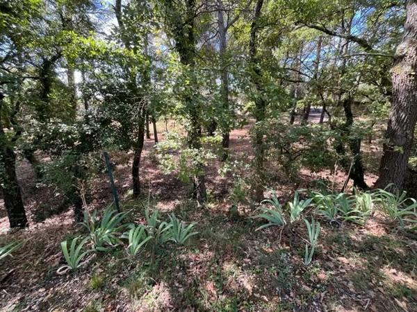 L'Isle-sur-la-Sorgue (84800) L'Isle sur sorgue, Maison dans quartier recherché à St Antoine