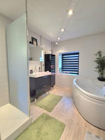 Maison à vendre 10 pièces de 293 m²