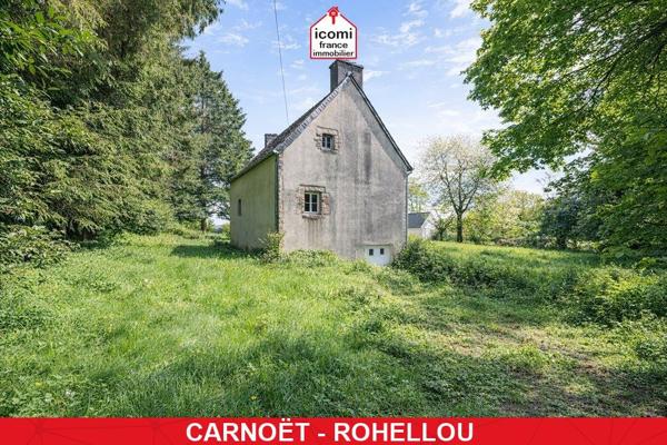 A VENDRE - MAISON 132 M2 - CONSTRUCTION 1981 - 5 CHAMBRES - SOUS-SOL - A RAFRAICHIR - 2 PETITES DEPENDANCES ET UN HANGAR - 3700 M2 DE TERRAIN - A 5MIN EN VOITURE DE LA VALLEE DES SAINTS