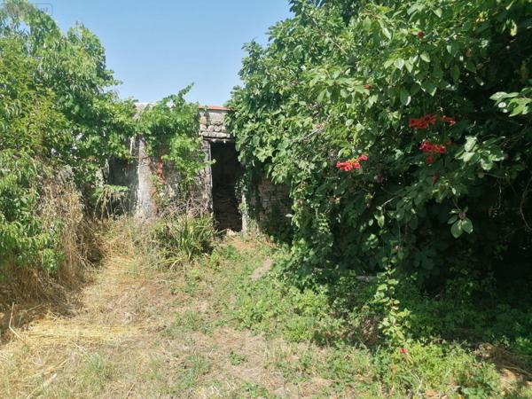 Maison à restaurer à vendre à Andilly en Charente-Maritime (17230), ref : VD/605