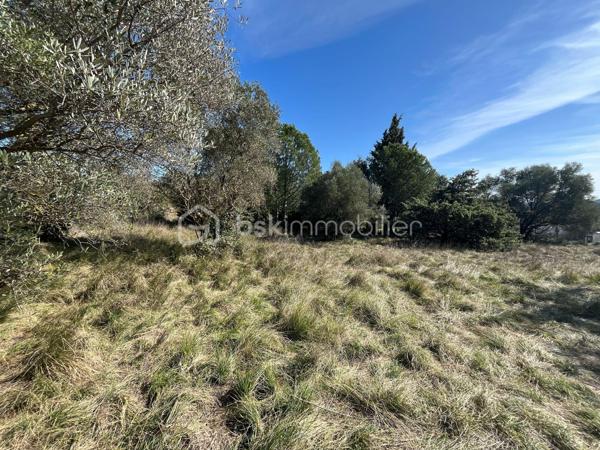 Terrain de 790 m²