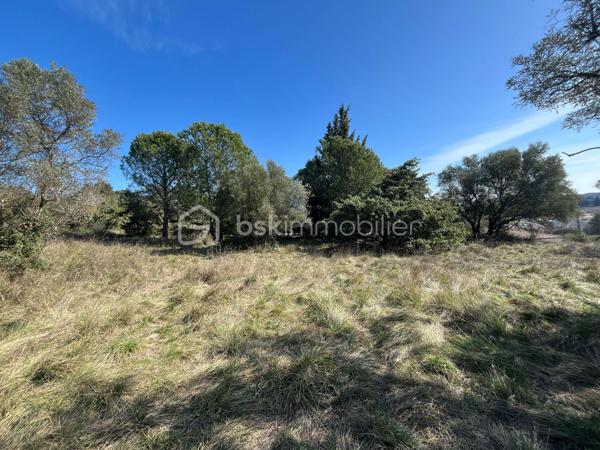 Terrain de 790 m²