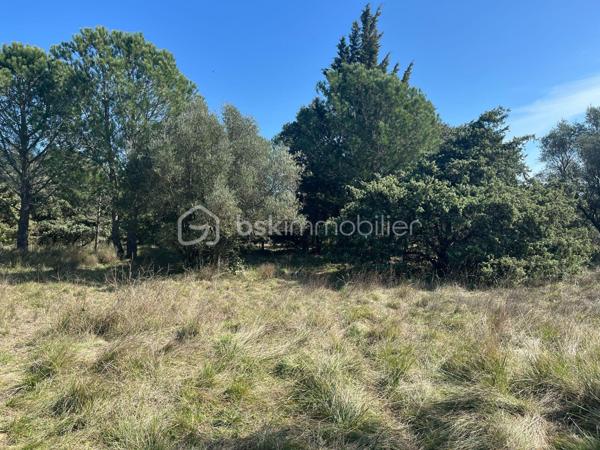 Terrain de 790 m²