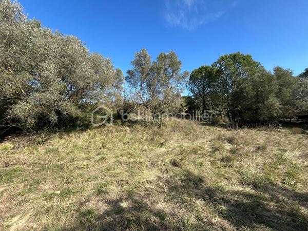 Terrain de 790 m²