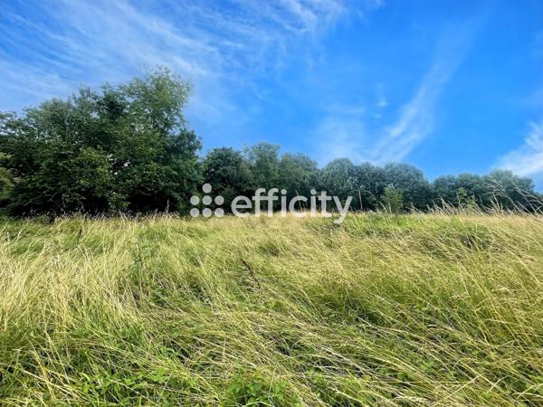 Terrain - 3000 m²