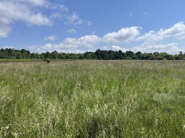 Vente / Terrain constructible