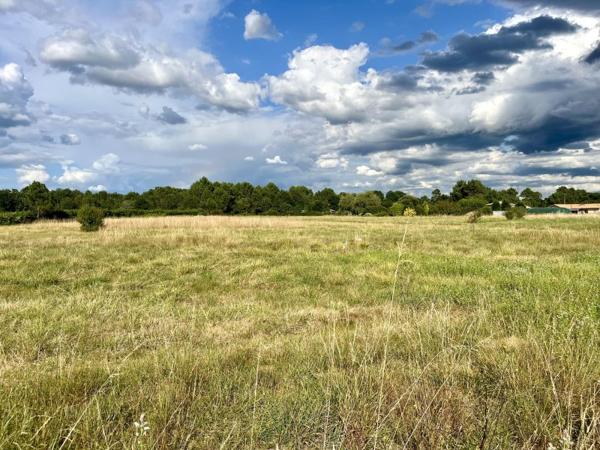 Vente / Terrain constructible