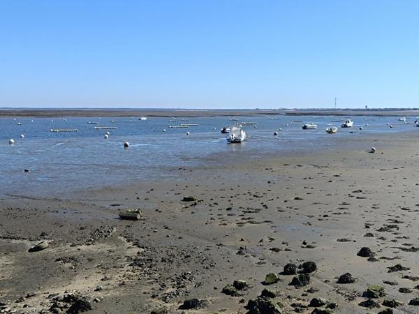 ARCACHON : Appartement Exceptionnelle Vue Port de Plaisance