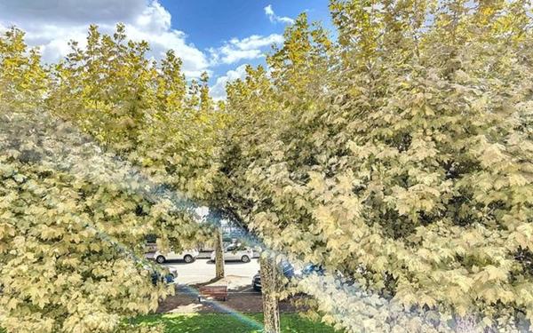 Appartement à vendre    4 pièces •  Montluçon