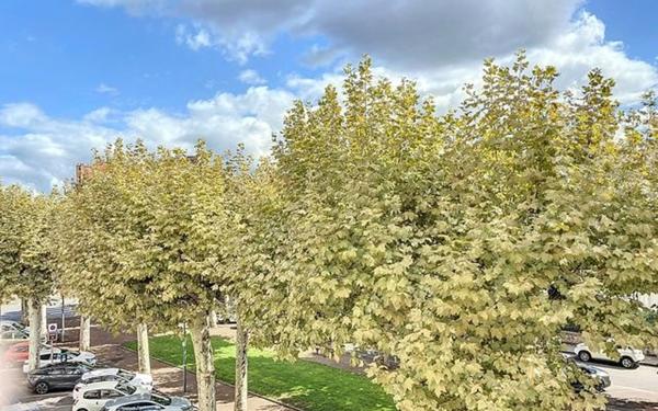 Appartement à vendre    4 pièces •  Montluçon