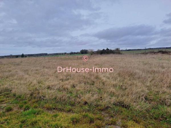 Terrain à vendre de 7 000 m²