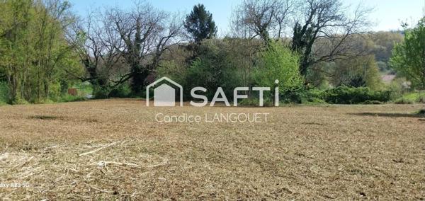 Spécial Investisseur : Foncier à fort potentiel