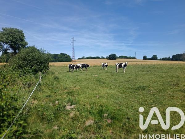 Terrain à vendre 21 677 m² Champnétery