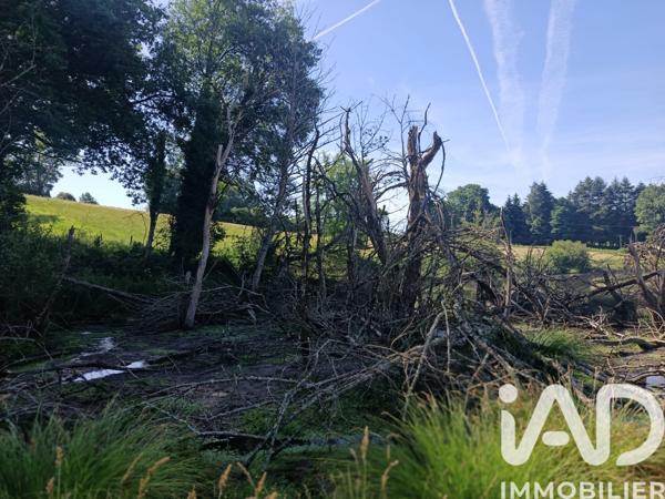 Terrain à vendre 21 677 m² Champnétery