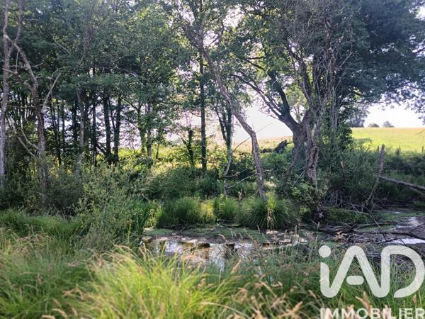 Terrain à vendre 21 677 m² Champnétery