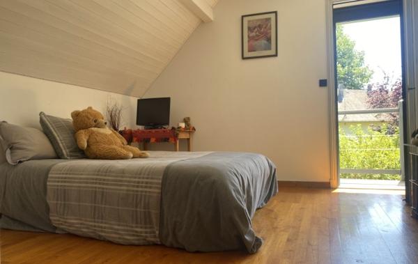 Vente Villa 200m² hab - piscine terrain 2450m² Domessin   