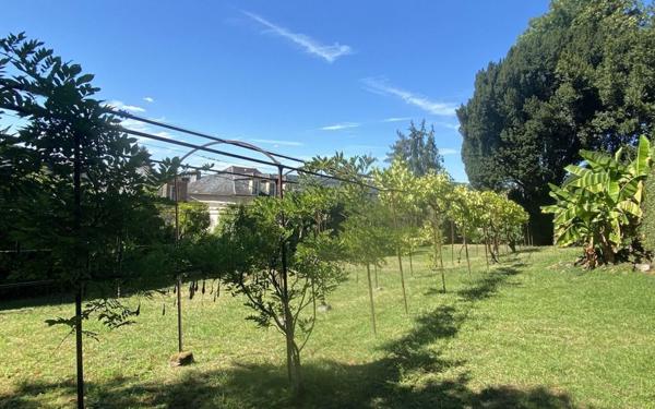 Maison à vendre    7 pièces •  Terrasson-Lavilledieu