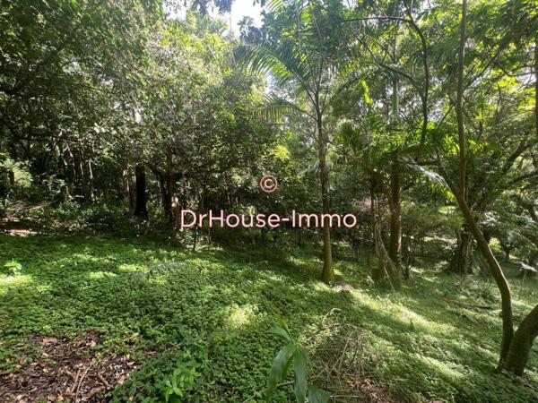 Terrain à vendre de 926 m²