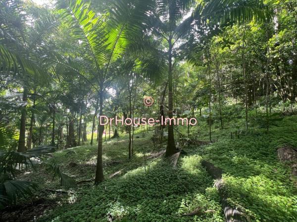 Terrain à vendre de 926 m²