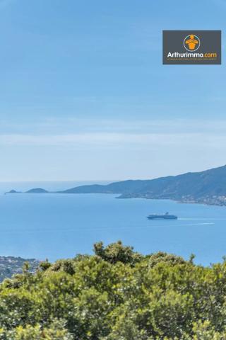 Vente                                                      Maison
                        
                     5 pièces                      269 m2                     à Porticcio