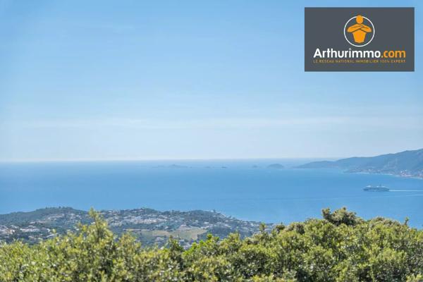 Vente                                                      Maison
                        
                     5 pièces                      269 m2                     à Porticcio