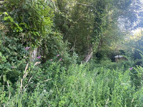 Terrain à vendre 17 000 € Boisse-Penchot 5433 m² DPE
