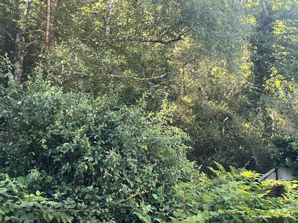 Terrain à vendre 17 000 € Boisse-Penchot 5433 m² DPE
