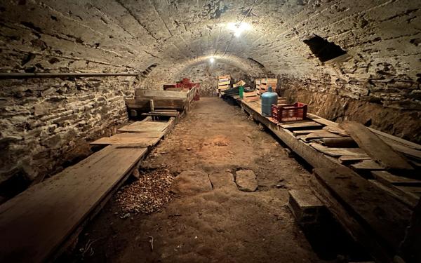 Maison à vendre    4 pièces •  Saint-Sorlin