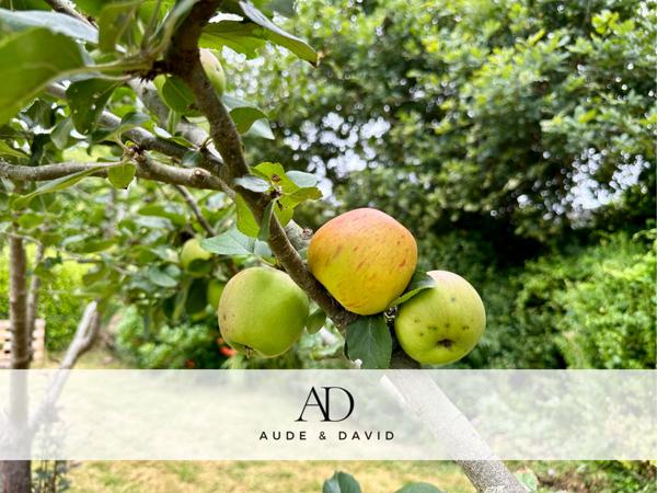 Maison 8 pièces - 116 m² Exclusivité efficity