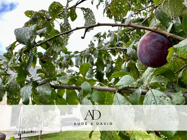 Maison 8 pièces - 116 m² Exclusivité efficity