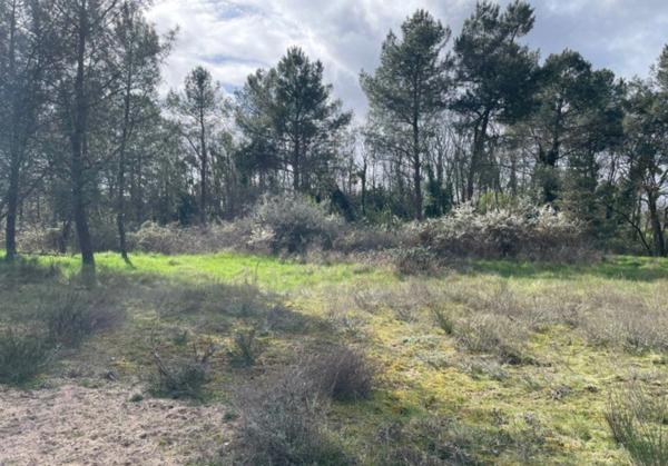 Terrain de Loisirs bord de Loire de 11 000 m² proche de NEVERS FOURCHAMBAULT LA CHARITE SUR LOIRE (58)