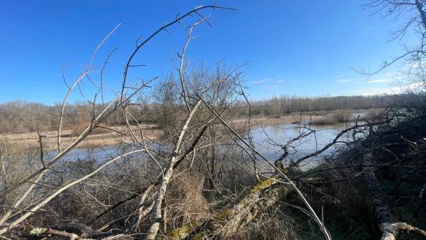 Terrain de Loisirs bord de Loire de 11 000 m² proche de NEVERS FOURCHAMBAULT LA CHARITE SUR LOIRE (58)