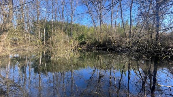 Terrain de Loisirs bord de Loire de 11 000 m² proche de NEVERS FOURCHAMBAULT LA CHARITE SUR LOIRE (58)