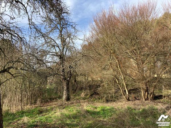 TERRAIN A BATIR A VENDRE A BOURGUIGNONS (10110), AUBE. A 3km de BAR SUR SEINE (10110), bourg to...