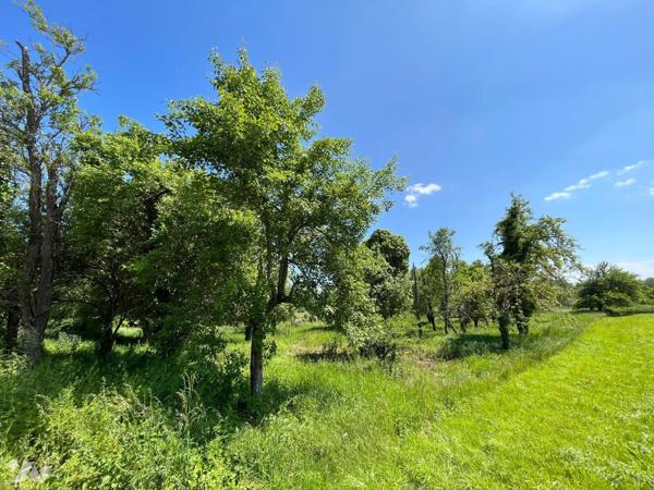 TERRAIN A BATIR A VENDRE A BOURGUIGNONS (10110), AUBE. A 3km de BAR SUR SEINE (10110), bourg to...