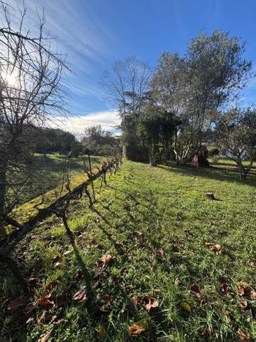Élégance & Sérénité aux portes de Carcassonne Verzeille (11250)