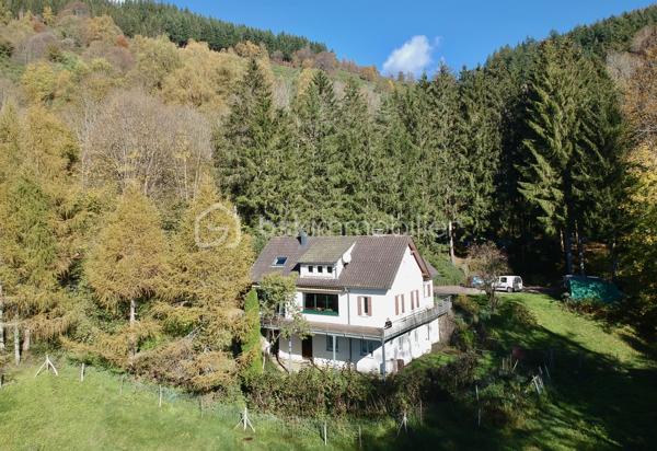 Local d activites de 290 m²