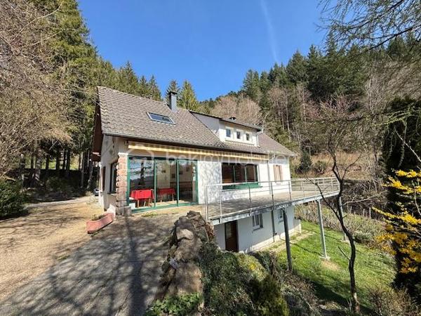 Local d activites de 290 m²