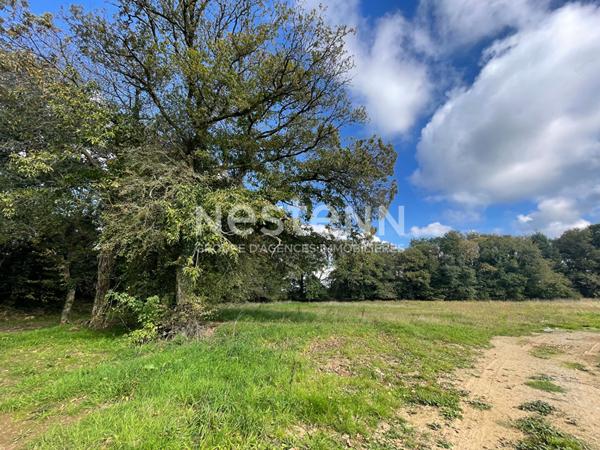 Maison 56 m² proche COLPO