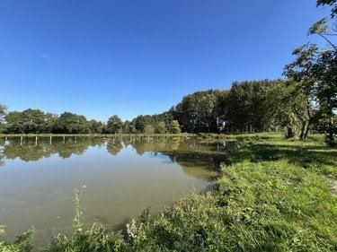 Terrain de loisirs - Bois - Etang à vendre à Caulnes dans les Côtes-d'Armor (22350), ref : 22044-3800